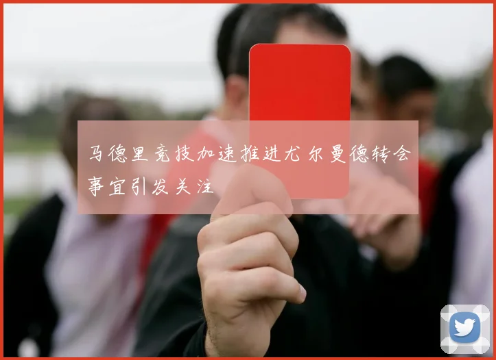 凯尔特人主场球迷创上座率纪录 球队用胜利回馈支持